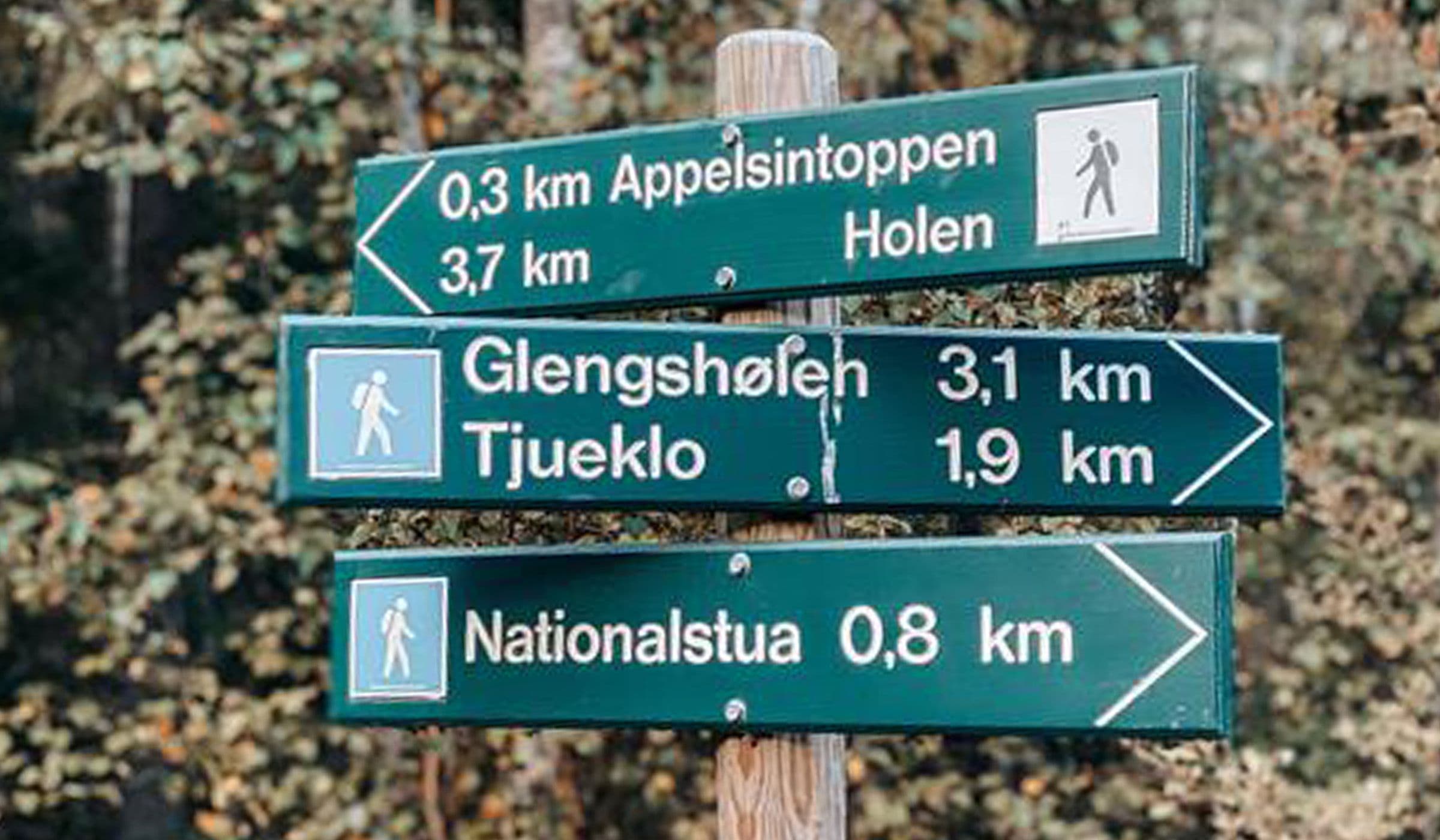 Sarpsborg Idrettslag